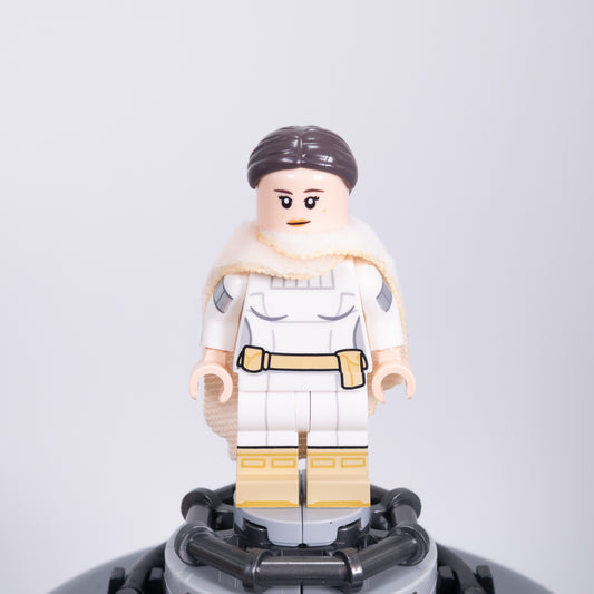 Protected Senator Version B - Brickdaddy Collab