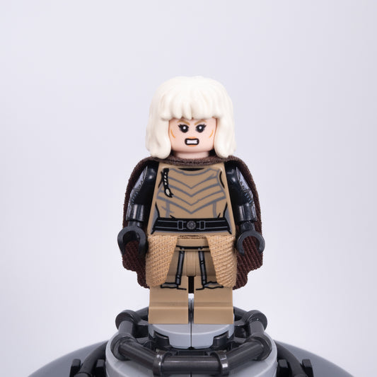 Fallen Apprentice Cloth Set