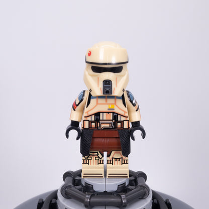 Coastal Trooper Squad Leader
