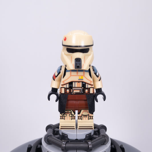 Coastal Trooper Squad Leader
