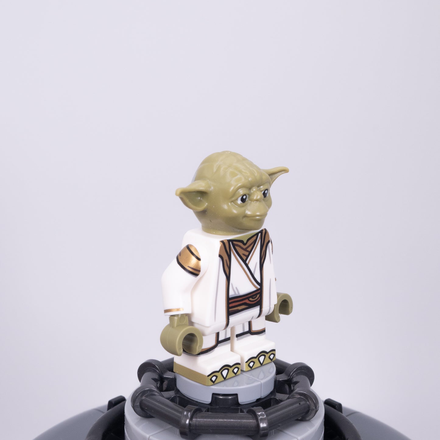Marsh Master - White Robes
