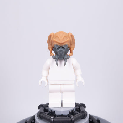 Plo Head V2