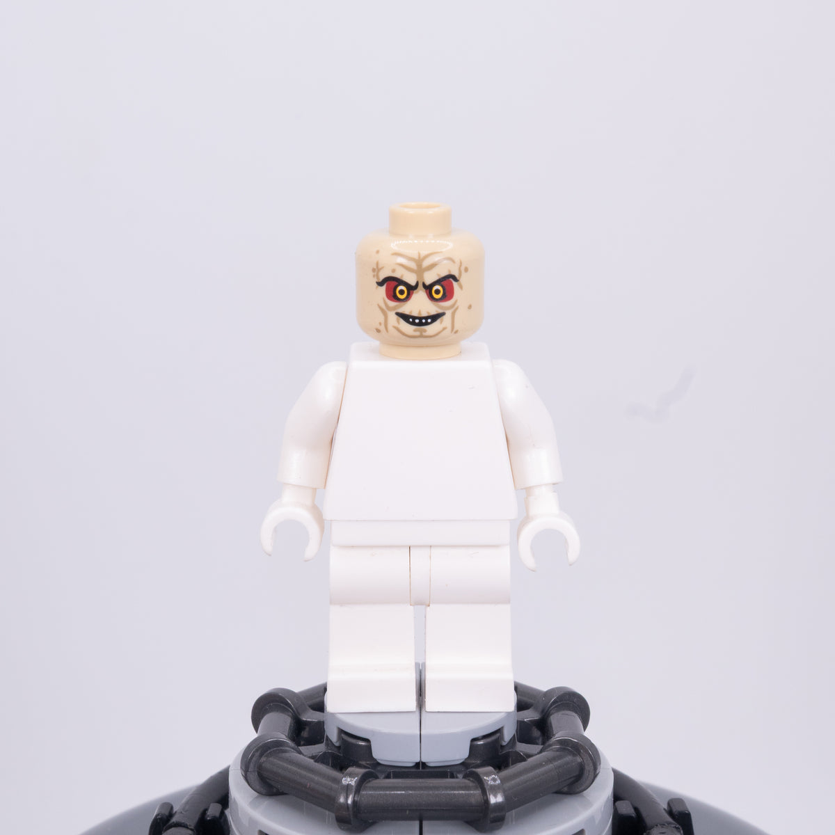 The Senate Pupil Head