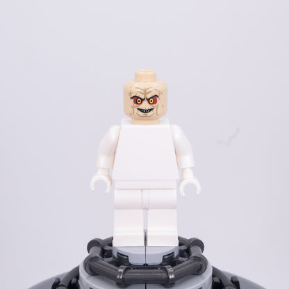 The Senate Pupil Head