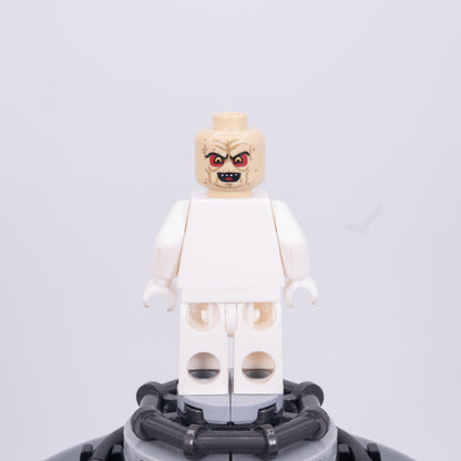The Senate Pupil Head