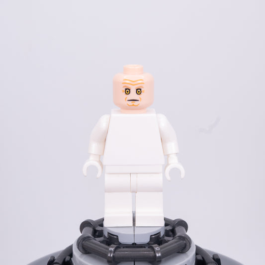 Captive Conniver Pupil Head