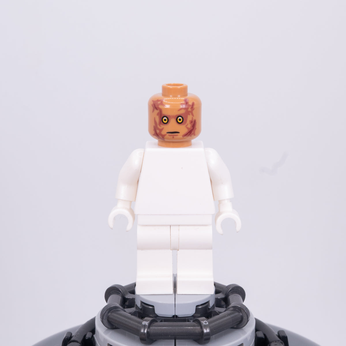 Crispy Champion Pupil Heads