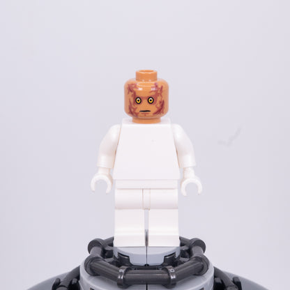 Crispy Champion Pupil Heads
